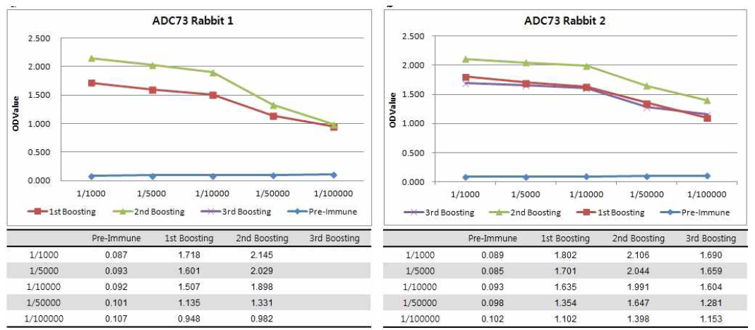 ADC73 Rabbit의 1, 2, 3차 boosting 후 혈청을 이용한 ELISA 역가 확인
