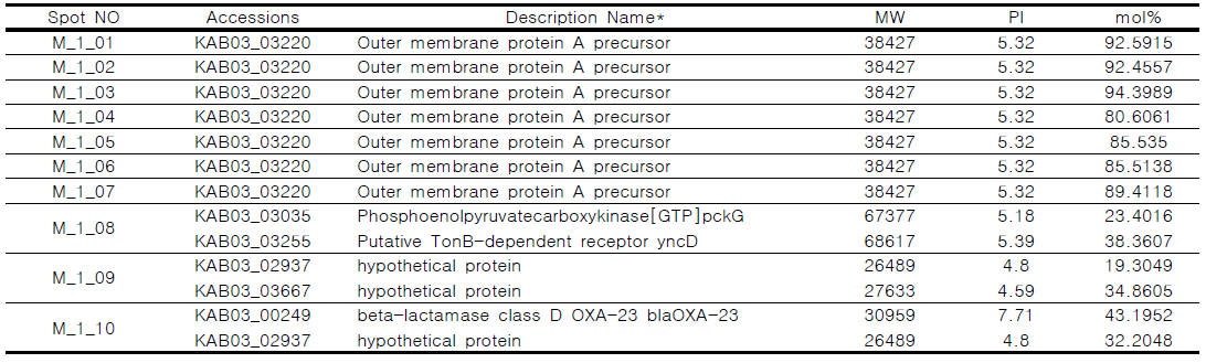 동정된 단백질 목록 1