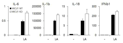 MICU1 결손 BMDM의 cytokines 유전자 발현 변화