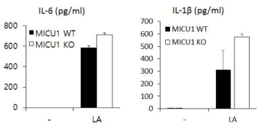 MICU1 결손 BMDM의 분비된 cytokines 변화