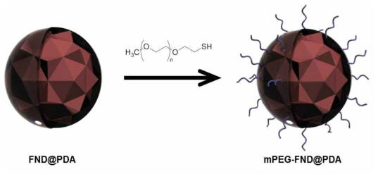 Ployethylene glycol (PEG) 분자의 PDA 껍질이 도입된 FND의 표면 도입 반응 개요도
