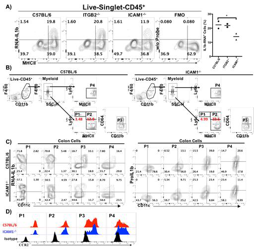 (A) Age- and sex-matched C57BL/6, ITGB2-/-, ICAM1-/- mice were used to examine the influence of Integrin or ICAM molecules over the expression of RNA-IL-1b in colon macrophages. (A) Live-singlet-CD45+ colon cells were first gated and plotted as RNA-IL1b vs MHCII. This is one of representative data and their summary is shown on the right. Sample without IL1b probe was used as the Fluorescence Minus One (FMO) control. (B) Waterfall flow cytometry gating to see there's an impact of ICAM1 expression on macrophages differentiation. Expression of (D) CCR2 as well as (C) IL1b mRNA and ProIL1b were examined in P1-P4 stage of colon Monocytes/macrophages between C57BL/6 and ICAM1-/-