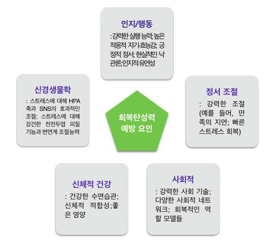 [보고서]지역사회기반 정신건강 회복 증진 프로그램 개발 및 타당성 검증