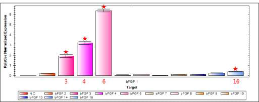 Real-time quantitative RT-PCR analysis of transgenic plant expressing 2fN-his-bFGF