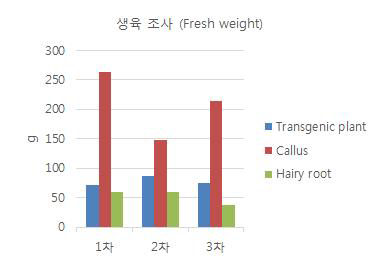 1-3차 배양에 따른 각 식물체 별 aFGF 생육 조사 (Fresh weight) 비교 그래프