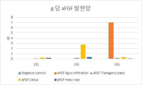 1-3차 배양에 따른 각 샘플 별 생체 중량 g당 aFGF 발현양 그래프
