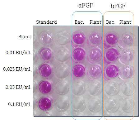 식물세포 유래 a/bFGF의 endotoxin 오염 감소 확인 시험