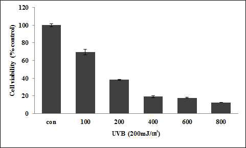 UVB 조사 선량에 따른 HaCaT 세포 생존율