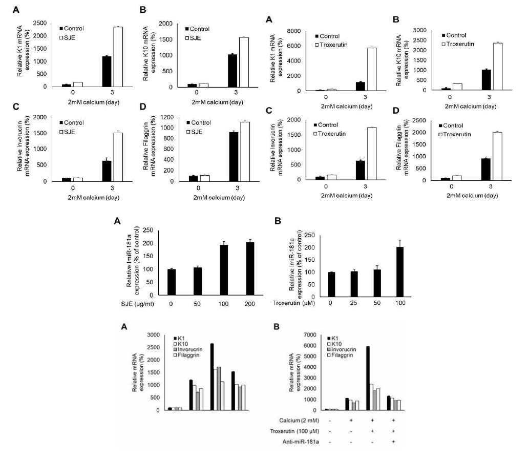 Sophora japonica extracts accelerates keratinocyte differentiation through miR-181a