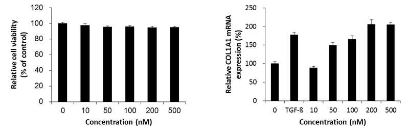 miRNA Liposome(피부노화 조절 생체유래 마이크로RNA 개발원료, 라비오)에 대한 안전성 및 효능평가를 2D 피부세포 실험모델을 이용하여 확인한 실험결과