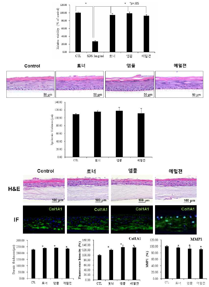 miRNA Liposome 적용된 화장품(토너, 앰플, 에멀젼)에서 3D 세포를 이용한 안전성 및 효능평가 결과