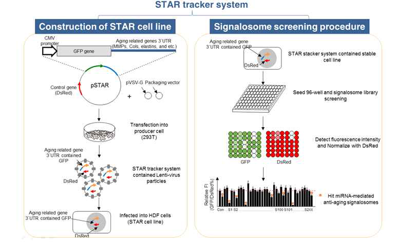 STAR Tracker system 모식도