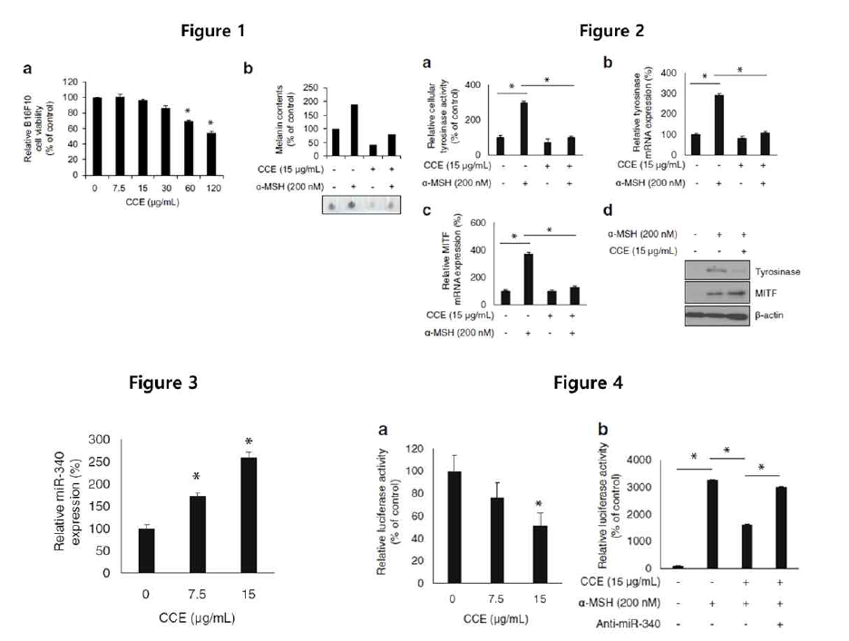 황련추출물에 의한 miR-340-MITF-Melanogensis 조절기전