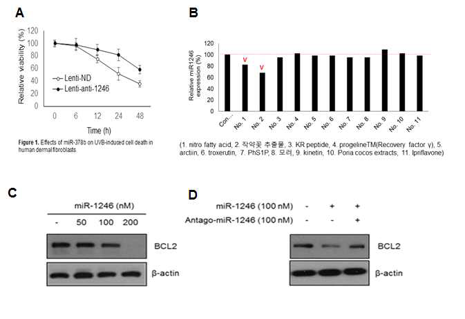 작약추출물에 의한 miR-12**-BCL2-Surviva 조절기전