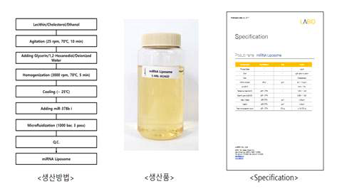 miRNA 리포좀 원료