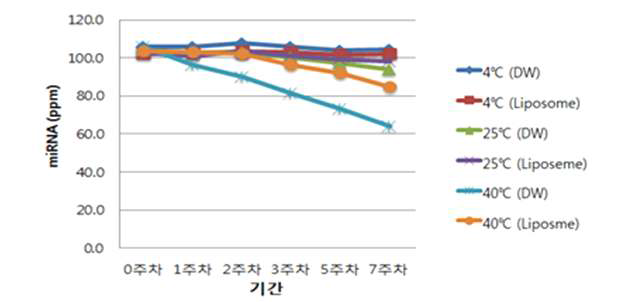 miRNA 리포좀의 고온 안정도 확인