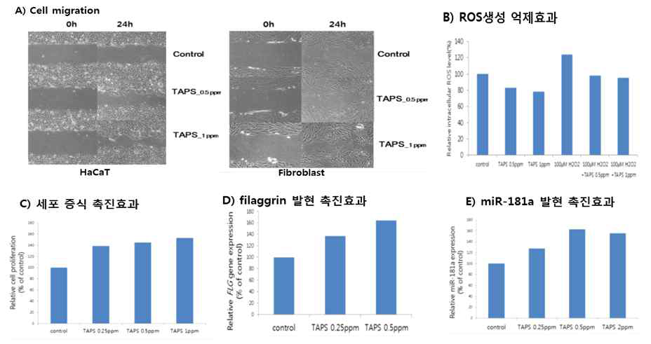 테트라아세틸피토스핑고신의 in-vitro 효과