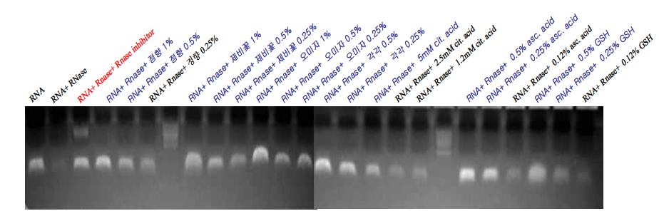 RNase inhibitor 활성을 갖는 천연물과 화장품 성분