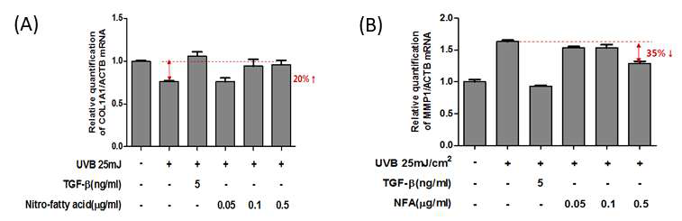 자외선B조사에 의한 Nitro fatty acid 콜라겐 합성능 측정(A)과 Nitro fatty acid 콜라겐분해효소 억제능 측정(B)