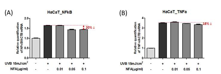자외선B조사에 의한 Nitro fatty acid의 NF-κB 억제능 (A)과 TNFα (B)억제능 측정