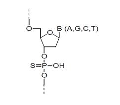 Phosphorothioate backbone