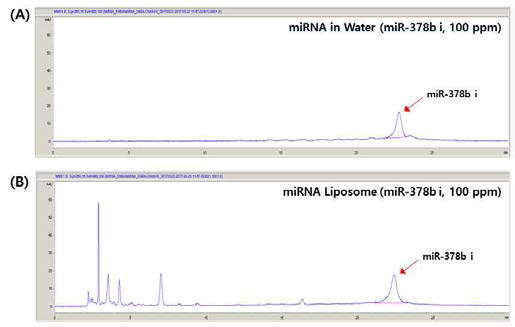 miR378b i의 HPLC chromatogram. (A) miRNA in water, (B) miRNA Liposome