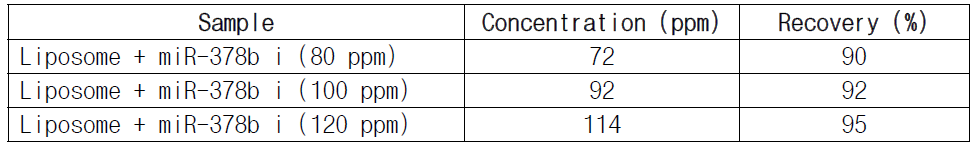 리포좀 제형 내의 miR-378b i에 대한 회수율 시험 결과