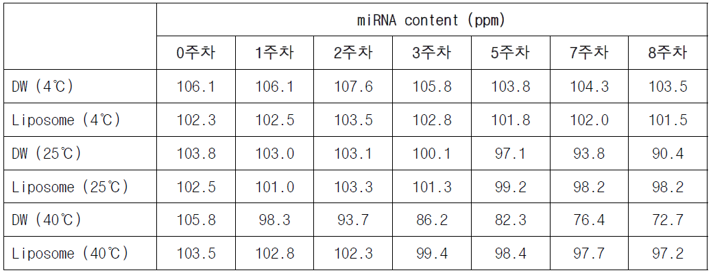 리포좀 제형내의 miRNA 안정성 시험 결과