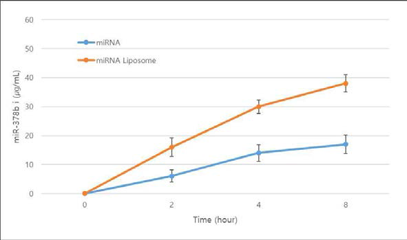 HPLC를 이용한 miRNA (in water)와 miRNA 리포좀 내의 miR-378b i의 피부투과도 결과
