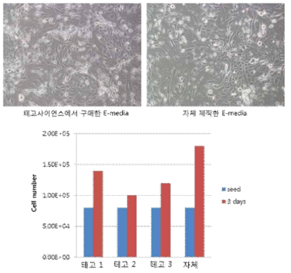 기존 테고 사이언스에서 구입한 E-media와 자체 제작한 E-media를 사용해 공배양한 영구화된 각질세포주(HFK-11-E6/E7)와 마우스 섬유아세포(NIH3T3) 사진 및 세포 성장 비교 데이터