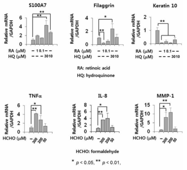 영구화된 HFK-7-E6E7 세포에 레티놀산 및 포름알데히드 처리 시 S100A7, filaggrin, keratin 10, TNF-a, IL-8, 및 MMP-1 유전자들의 전사 수준에서의 변화를 RT-PCR로 분석한 결과