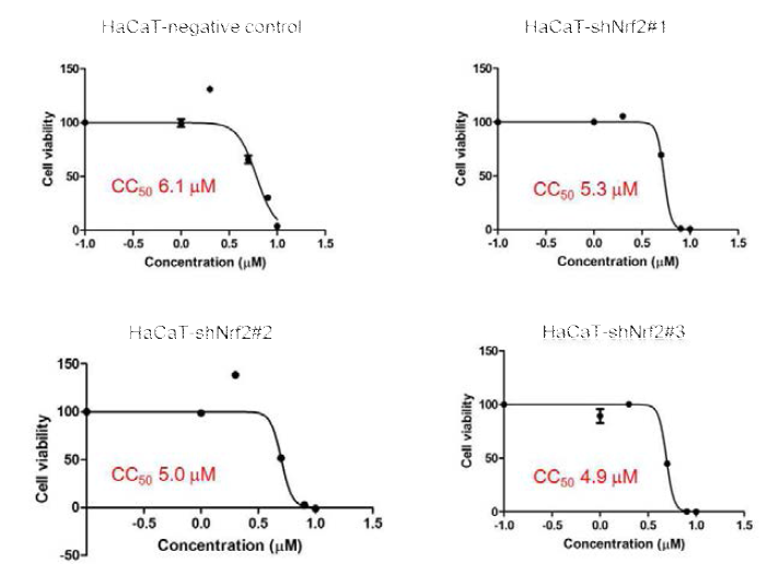 2,4-Dinitrochlorobenzene의 세포독성(CC50)을 HaCaT negative control 세포주와 3종의 HaCaT-shNrf2#1, HaCaT-shNrf2#2, HaCaT-shNrf2#3 세포주를 사용해 구한 결과