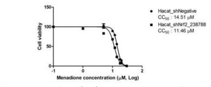 Menadione의 세포독성(CC50)을 HaCaT negative control 세포주와 HaCaT-shNrf2#1 세포주를 사용해 구한 결과