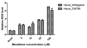 HaCaT negative control 세포주와 HaCaT-shNrf2#1 세포주에 menadione의 처리에 의해 생성된 ROS의 양 비교