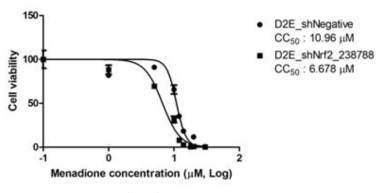 Menadione의 세포독성(CC50)을 HFK-11-E6E7-negative control 세포주와 Nrf2 knock-down시킨 HFK-11-E6E7-shNrf2#2를 사용해 구한 결과