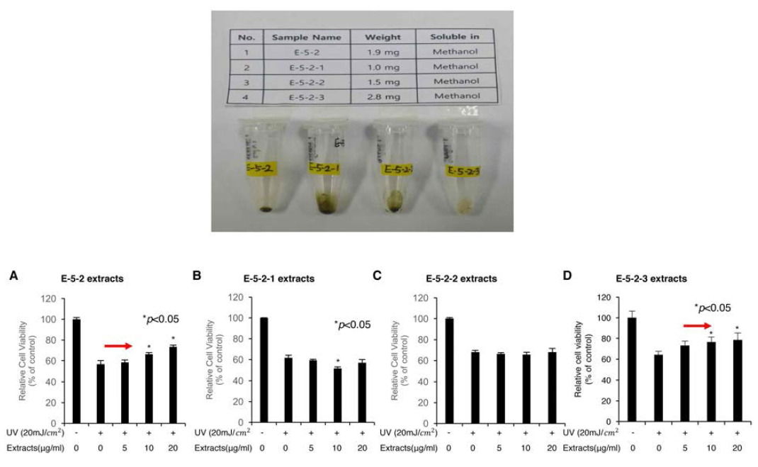 JD052 E-5-2의 세부 3개 분획에 따른 자외선에 의한 피부세포 손상 보호능 분석 결과