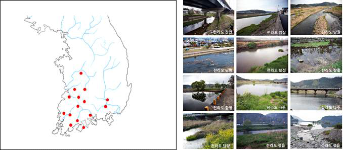 담수 시료 채취 지역 및 장소(전라도)