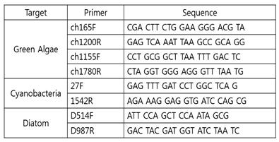 미세조류 동정용 프라이머