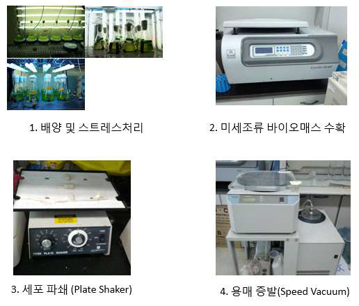 미세조류 cell biomass의 추출 및 건조방법