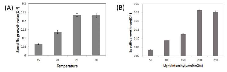 KK01 균주의 온도별(A)과 광별(B) 성장률