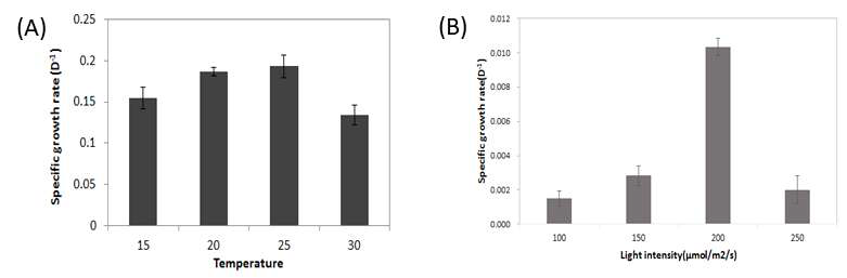 JD052균주의 온도별(A)과 광별(B) 성장률