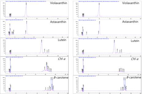 색소체 표준폼의 HPLC 분석 A: 445 nm, B: 476 nm