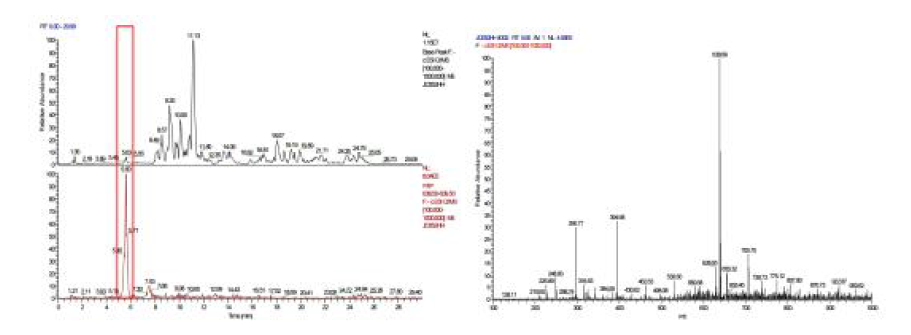대량배양에서의 LC-MS결과