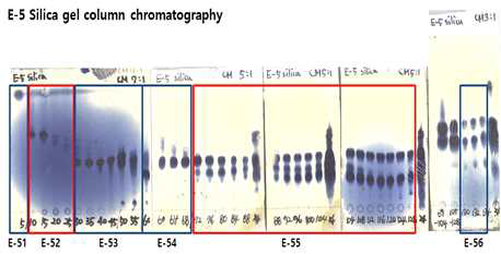 Ethyl acetate 추출물의 silica gel column chromatography 수행 후, TLC분석