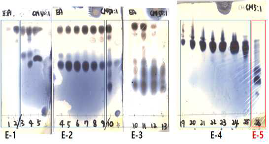 E-5 분획의 silica gel column chromatography 수행 후, TLC분석