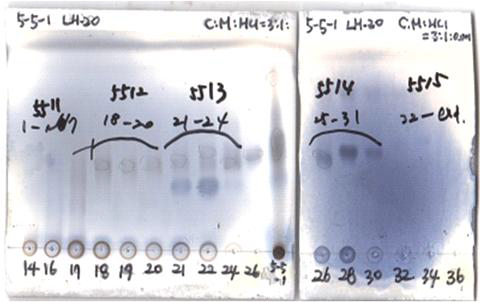 E-551 분획의 Sephadex LH-20 column chromatography 수행 후, 분획물의 TLC 분석