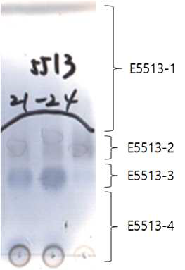 E-5513 분획의 preparative TLC 분석