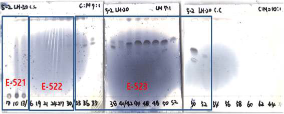 E-52 분획물의 Sephadex LH-20 C. C 수행 후 분획물의 silica gel TLC 분석