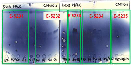 E-523 분획물의 ODS MPLC 수행 후 분획물의 silica gel TLC 분석