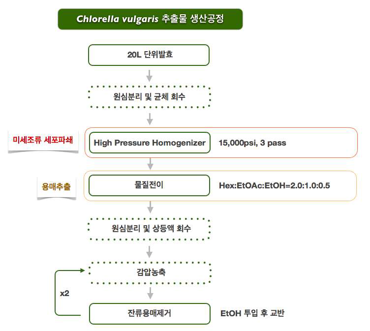 Chlorella vulgaris 추출물의 생산공정 모식도